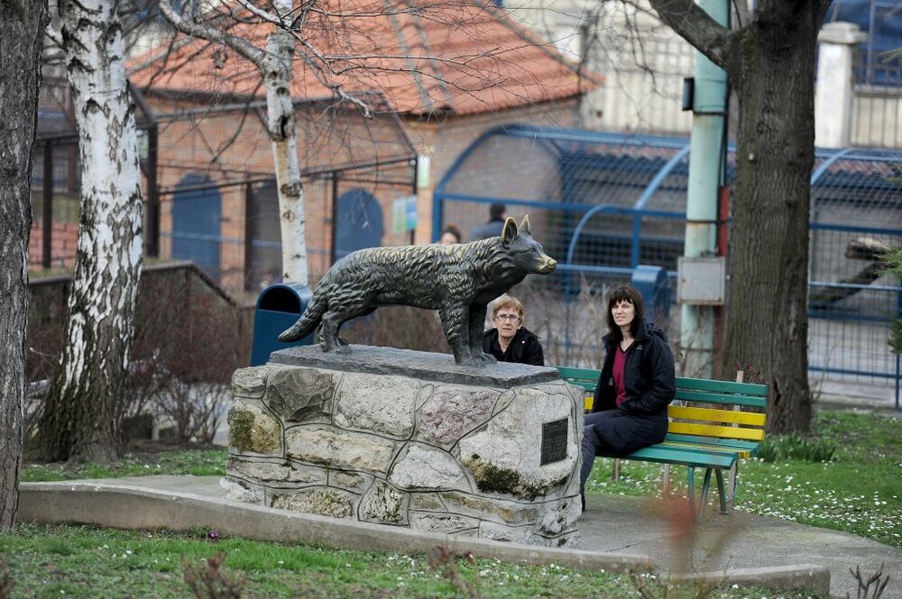 Zoo Vrt, Keruša Gabi