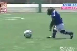 (VIDEO) OVO SIGURNO NIKAD NISTE VIDELI: Pogledajte kako majmunče igra fudbal, a zna i da dribla