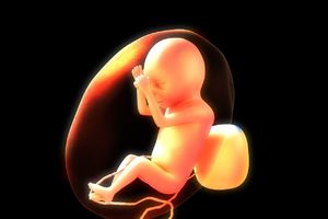 (FOTO) KOŠMAR SVAKOG RODITELJA: 13 najjezivijih fotografija sa ultrazvuka