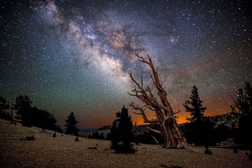 (FOTO) NAŠA GALAKSIJA U 46 MILIJARDI PIKSELA: Istražite najveću sliku Mlečnog puta ikada napravljenu
