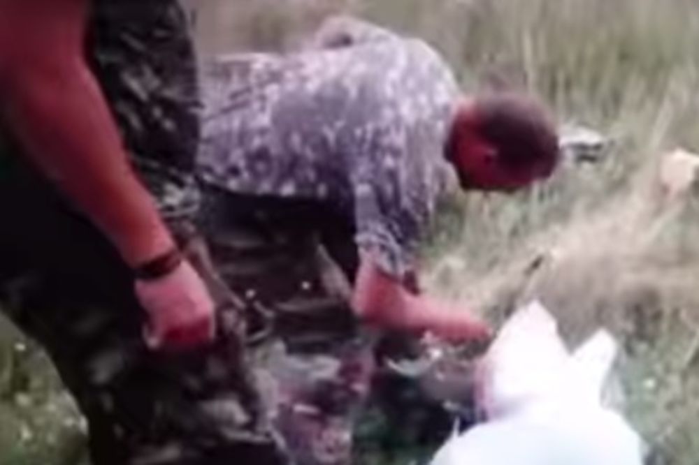 DOSAD NEOBJAVLJENI SNIMAK SA MESTA NESREĆE: Proruski vojnici otkrivaju ko je oborio MH17!