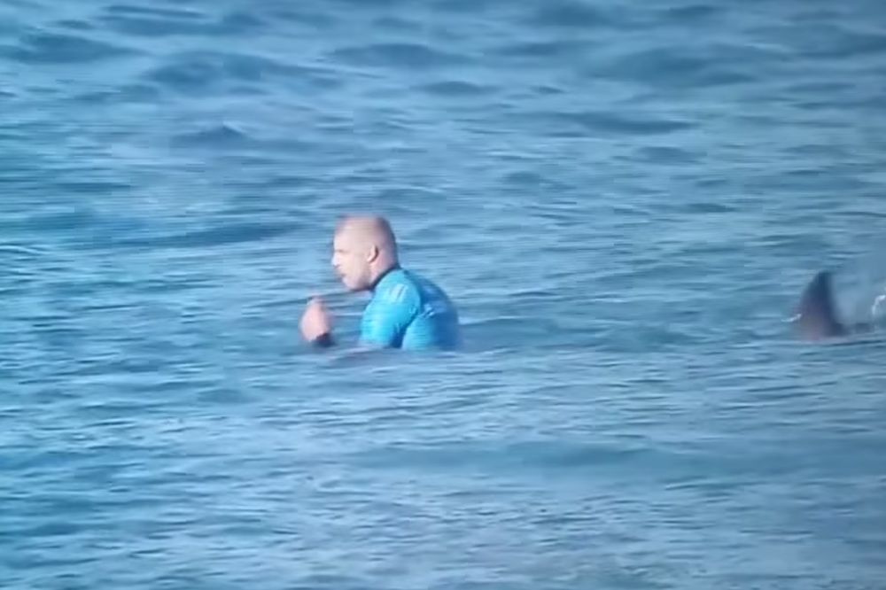 (VIDEO) UŽIVO NA TV: Ajkula napala surfera, pogledajte kako se izborio sa njom!