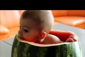 (VIDEO) PRAVO LETNJE UŽIVANJE: Ovo je najveća prednost toga što ste manji od lubenice!