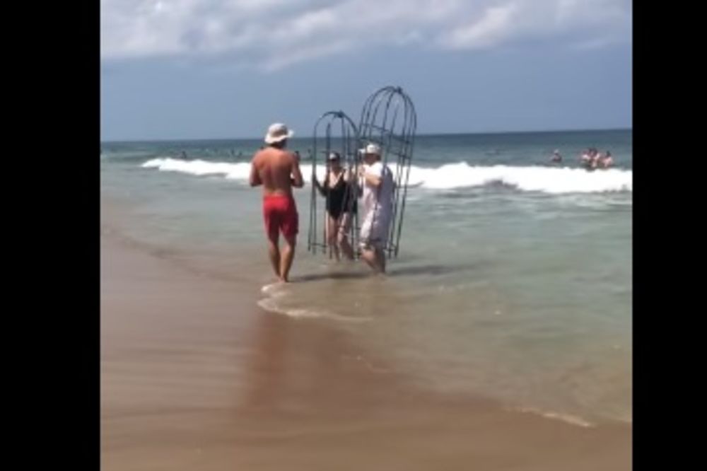 (VIDEO) GLUPOST JE NEUNIŠTIVA: Par ušao u kavez protiv ajkula i krenuo u more