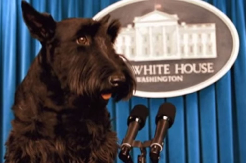 (VIDEO) KAKAV GAZDA, TAKAV PAS: Moćni lideri imaju moćne pse, koji vam se najviše sviđa?