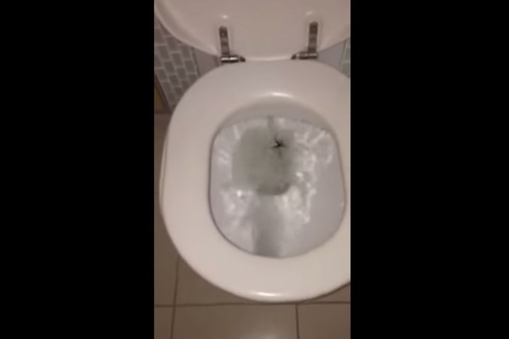 (VIDEO) DA SE NAJEŽIŠ:  Posle ovoga ćete sigurno puštati vodu kada uđete u WC!