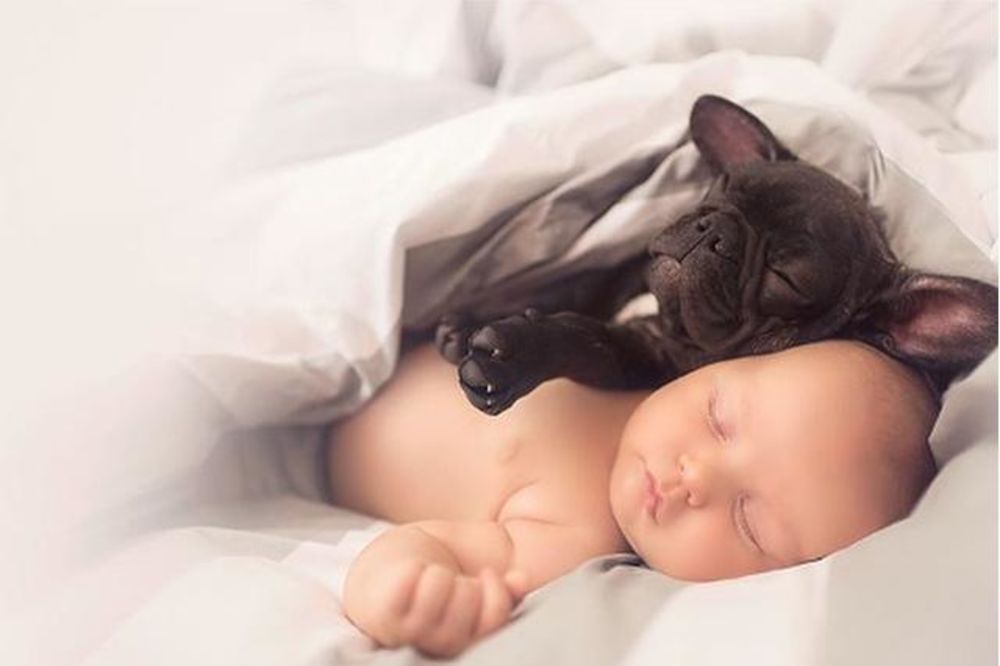 Dve nerazdvojne bebe: Neopisiva ljubav jednog dečaka i jedne kuce, rođenih istog dana (FOTO)