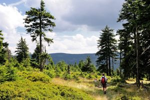 SAMA NA GRANICI SRBIJE, CRNE GORE I BIH: Devedesetogodišnja starica odoleva zverima i prirodi