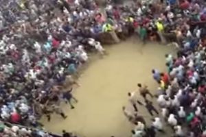 (VIDEO) KAD DVA KLANA ZARATE: Masovna tuča zasenila čuvene konjičke trke