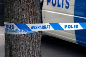 SLETELI U KANAL: Pet osoba poginulo u teškoj saobraćajnoj nesreći u Švedskoj