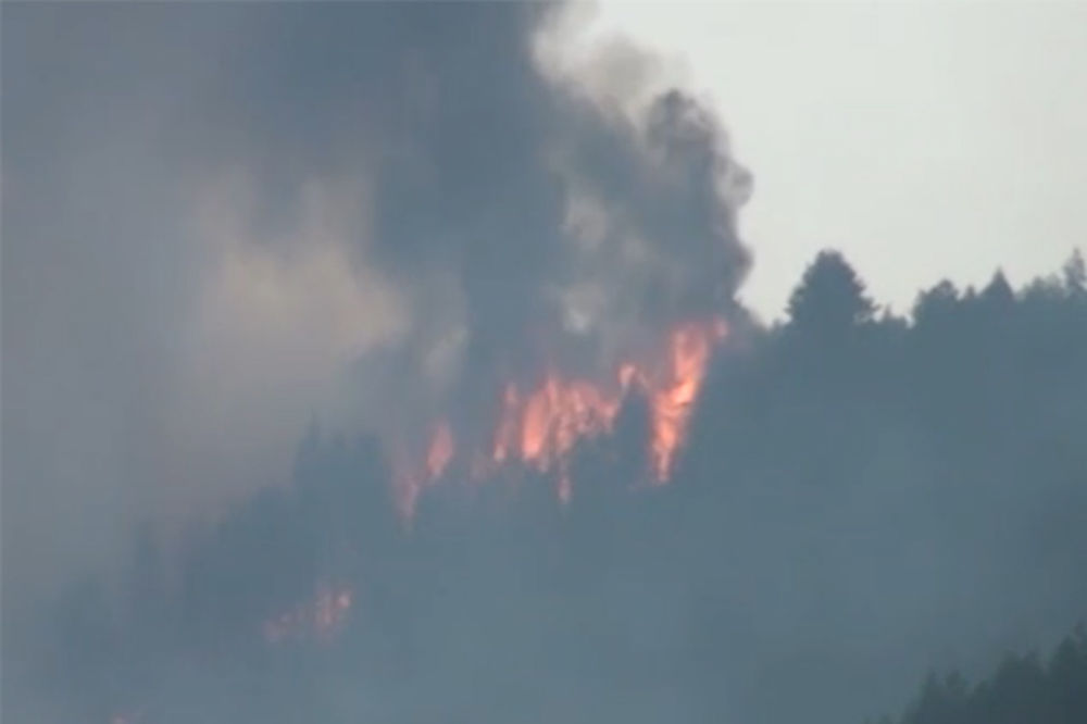 (VIDEO) Bukti požar u okolini Raške, vatrogasci i meštani gase