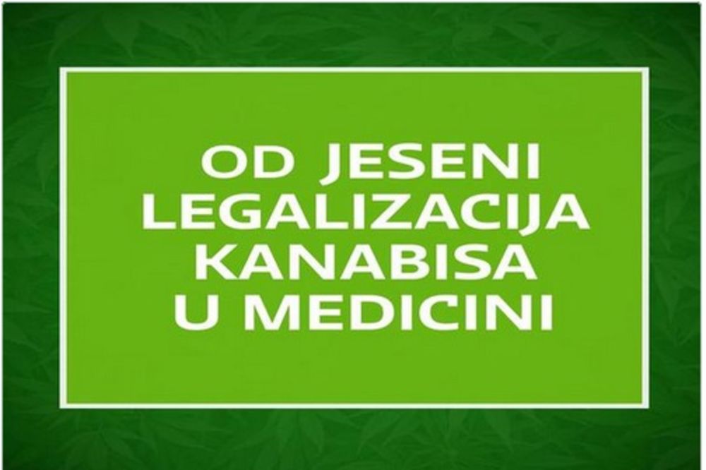 HRVATSKA PRELOMILA: Od jeseni legalizacija marihuane u medicinske svrhe!