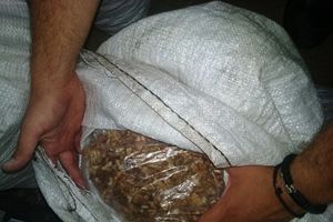 UHVAĆEN NA GRANICI: Užičanin krijumčario 250 kg oljuštenih oraha