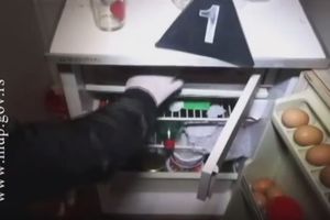 (KURIR TV) HAPŠENJE DILERA U BEOGRADU: Pronađene šok bombe u donjem vešu, droga u zamrzivaču