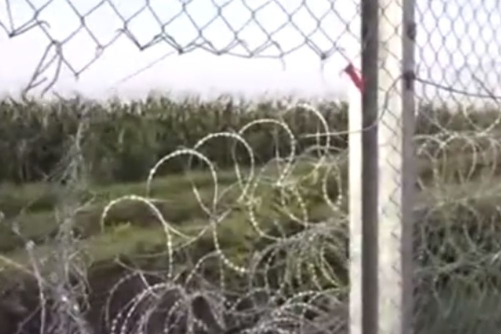 HAOS U NAJAVI: Migranti presekli ogradu na granici Mađarske i Srbije