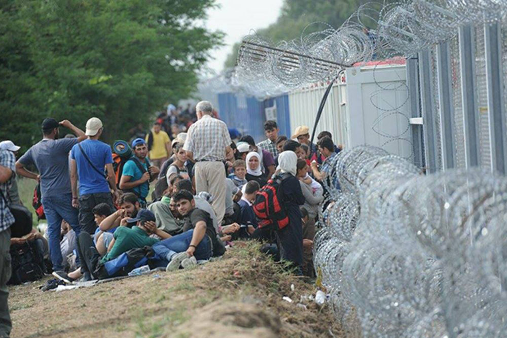 VOJSKA I POLICIJA SPREMNE DA ODGOVORE: Povećan broj migranata koji žele ilegalno da uđu u Srbiju