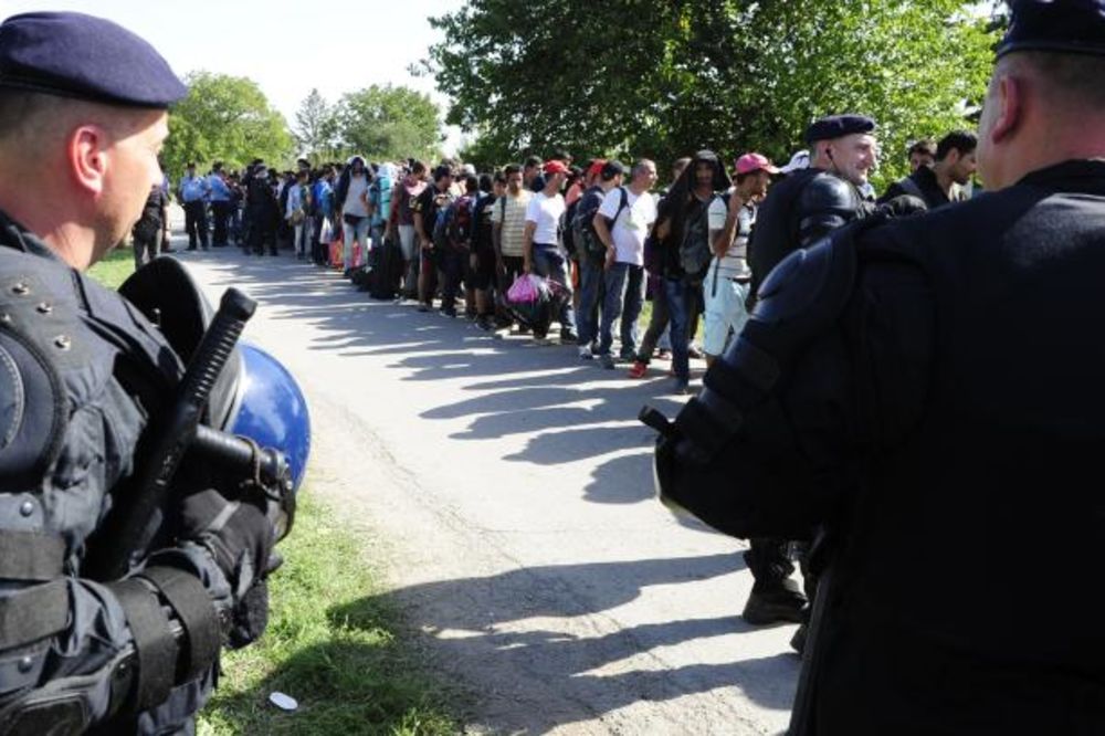 ENGLESKI STRUČNJAK: Šokantna odluka Hrvatske da zatvori granicu migrantima!
