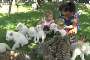 (VIDEO) DIVLJI I MLADI: Pogledajte najmlađe iz zoološkog vrta