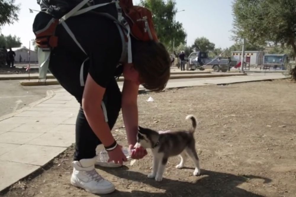 (VIDEO) ZAJEDNO PREPEŠAČILI 500 KM: Mladić iz Sirije se ne odvaja od svog psa