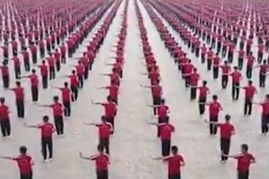 (VIDEO) SAVRŠENA PRECIZNOST: Ovako učenici kung fua izvode koreografiju za festival