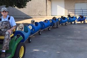 (VIDEO) PLEMENITI GOSPODIN: Napravio voz za pse lutalice koje je udomio