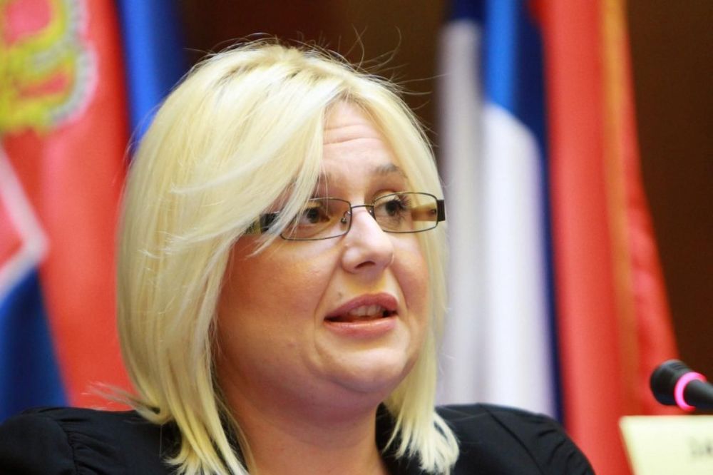 JANA LJUBIČIĆ: Srbija pohvaljena na skupu o policijskoj saradnji u Beču