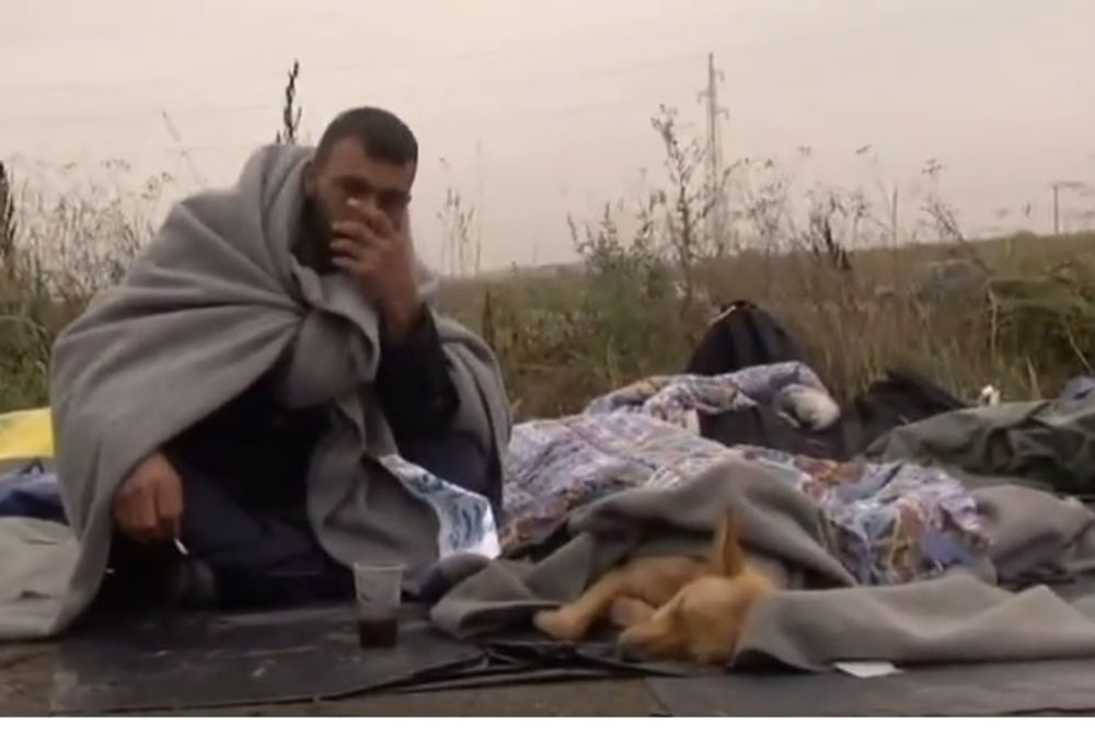 (VIDEO) DIRLJIVO: Migrant podelio ćebe sa psom lutalicom