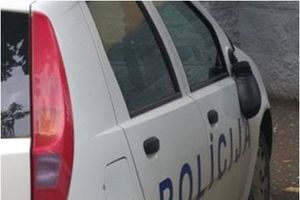 (FOTO) LUDILO PIROTSKIH VANDALA: Čupali retrovizore na policijskim vozilima