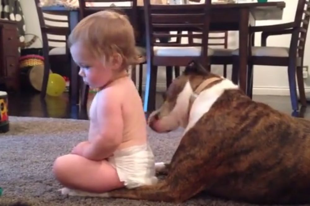 (VIDEO) NEODOLJIVA LJUBAV: Pas prisvojio bebu i tretira je kao svoje štene