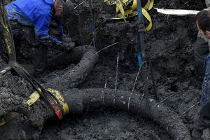 KOPALI AUTOPUT ISKOPALI SKELET: Pronađeni ostaci mamuta u Beču!
