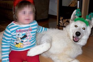 KO JE UBIO FIONU: Otrovali psa obolele devojčice (3)!