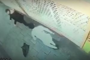 (VIDEO) JEZOVO: Kamera snimila obračun u kom je nožem izboden tinejdžer (16)!