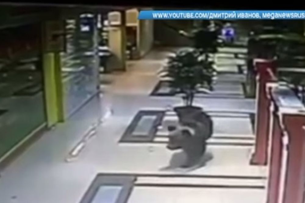 (VIDEO) Meda provalio u tržni centar u Rusiji, evo šta je policija uradila
