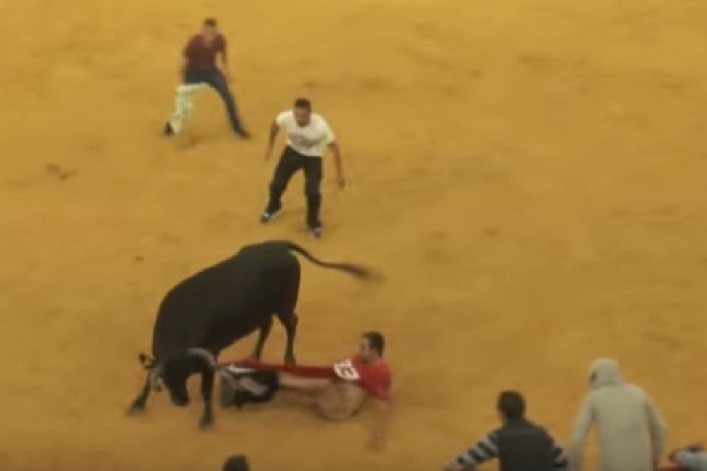 (VIDEO) STRIPTIZ U ŠPANSKOJ KORIDI: Njega je bik istresao iz gaća, ali stvarno