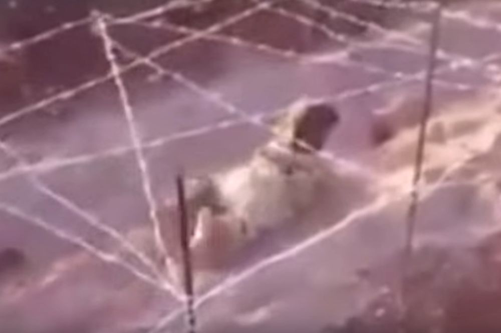 (VIDEO) OBUKA MALIH DŽIHADISTA: Dečak puzi ispod žice dok meci lete oko njega