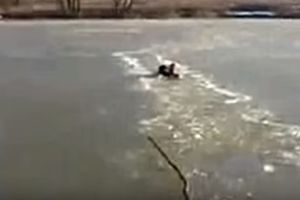 (VIDEO) STRAŠAN PODVIG: Hrabri Rus uskočio u zaleđeno jezero da spasi psa