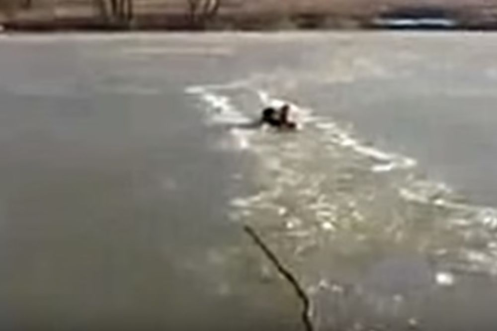 (VIDEO) STRAŠAN PODVIG: Hrabri Rus uskočio u zaleđeno jezero da spasi psa