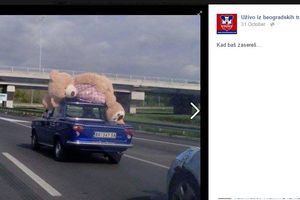 (FOTO) POKLON O KOME BRUJI SRBIJA: Ogromni medved se vozi auto-putem na krovu tristaća