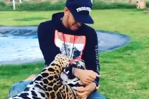 (VIDEO) KOCKAO SE SA ŽIVOTOM: Luis Hamilton stavio ruku u usta jaguaru