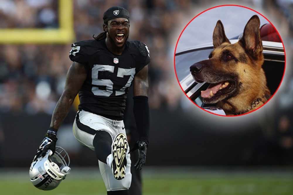 BIZARNIJE NE MOŽE: NFL zvezdi preti 7 godina robije jer je lajao na policijskog psa!