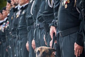 JA SAM DIZEL: Vlasnici pasa širom sveta na društvenim mrežama odaju počast policijskom psu