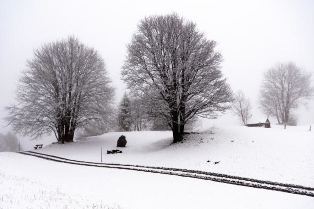 (FOTO) NAJAVLJUJE SE NAJHLADNIJI NOVEMBAR DO SAD: U Evropi pao prvi sneg