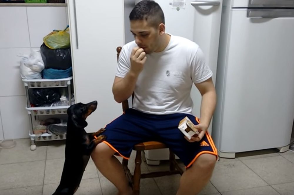 (VIDEO) MISLILA DA JE POSLASTICA: Evo kako je jedan čovek naterao svog psa da pojede lek