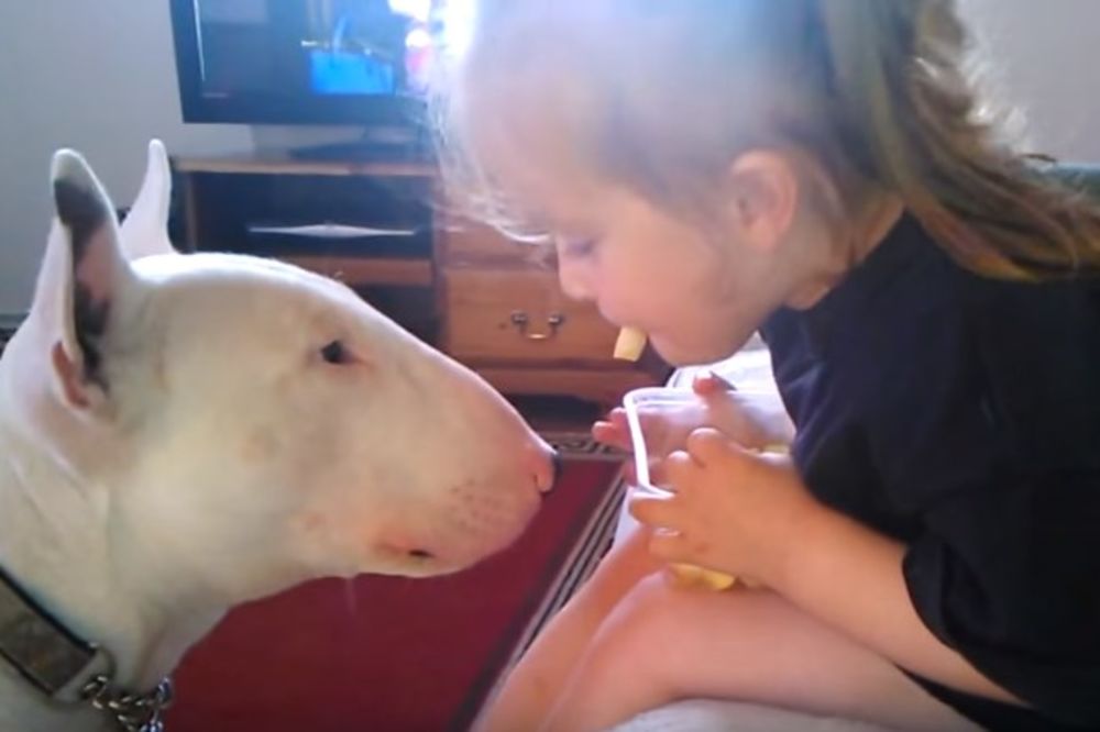 (VIDEO) HRABRA DEVOJČICA: Ona je bez imalo muke nahranila opasnog psa!