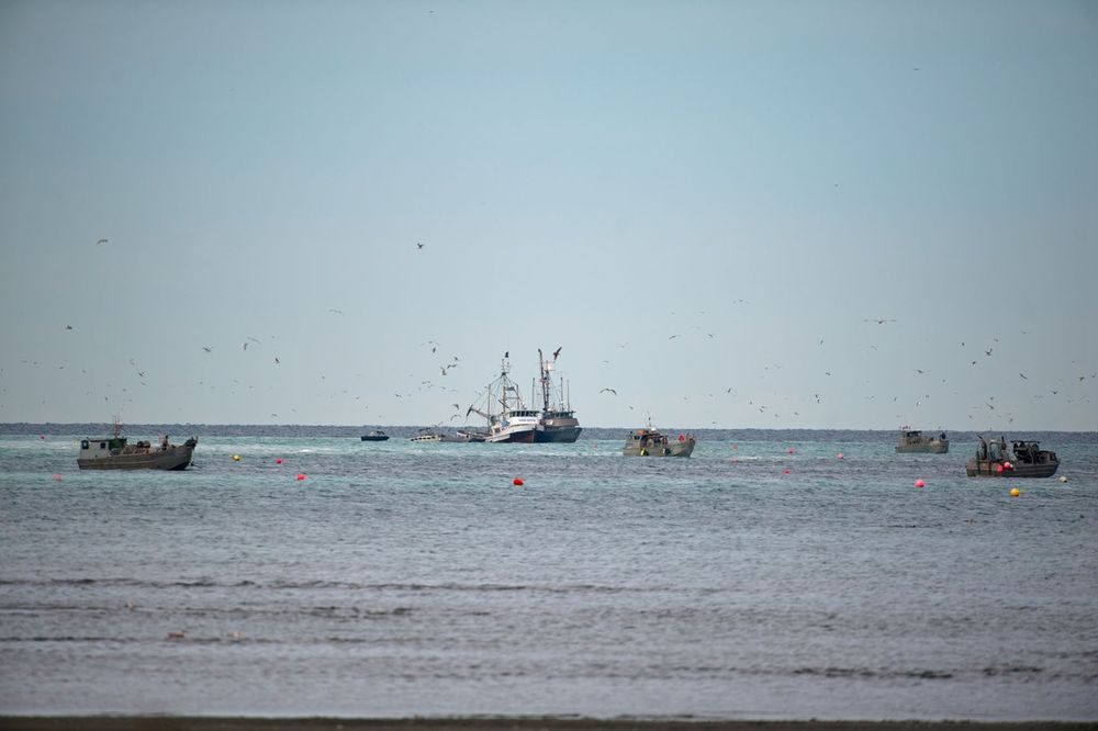 NOVI INCIDENT KOD SEVERNE KOREJE: Pjongjang zarobio ruski ribarski brod, Moskva traži oslobađanje ribara!