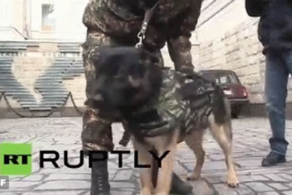 (VIDEO) OKLOP GLAVU ČUVA: Rusi predstavili novi "pancir" za policijske pse