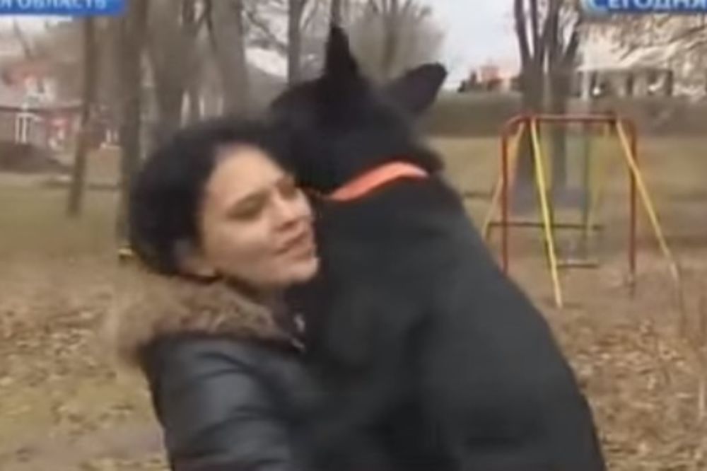 (VIDEO) ZAHVALAN: Pas prešao 320 kilometara da nađe veterinarku koja mu je spasila život
