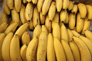 VREDI POKUŠATI: Šta će se dogoditi ako pojedete 51 bananu u jednom danu?