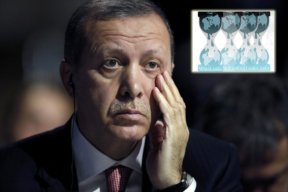 TURSKI ZVIŽDAČ: Erdogan oborio ruski avion da bi pridobio birače!