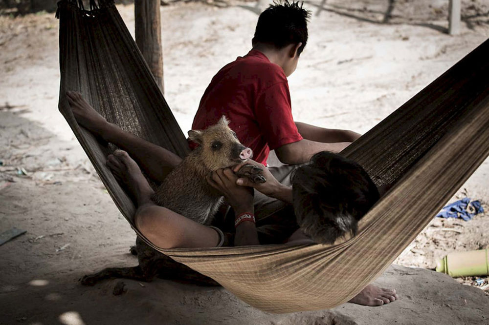 (FOTO +18) Žene iz amazonskog plemena doje veverice, majmune i druge životinje